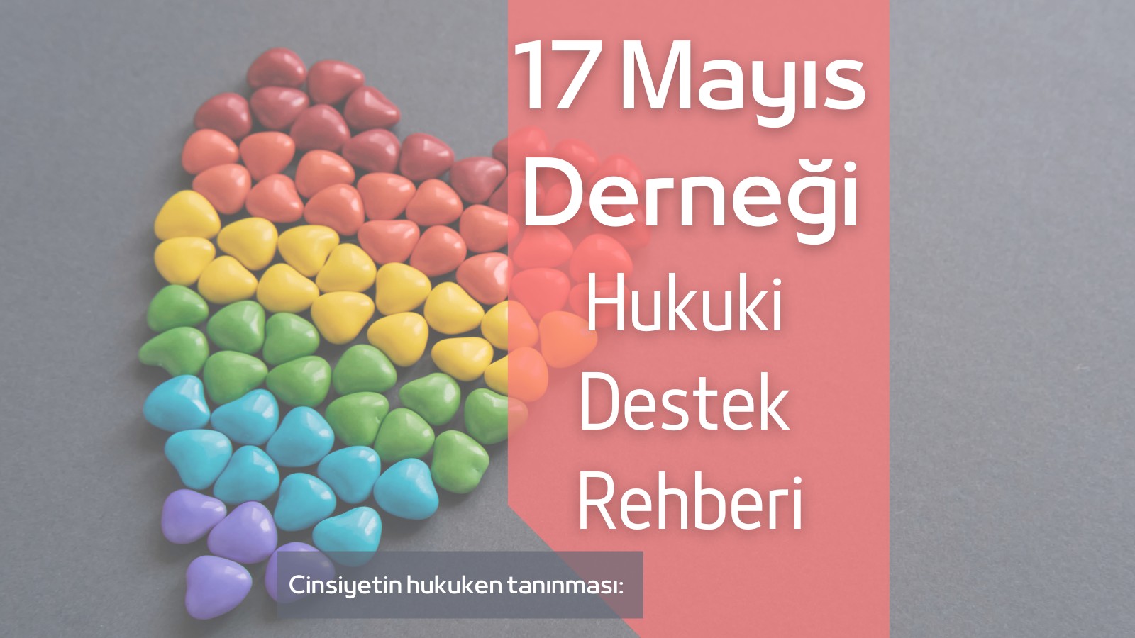 Hukuki Destek Rehberi, Cinsiyetin Hukuken Tanınması'nı Ele Alıyor! - 17 Mayıs