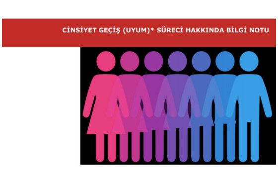 Cinsiyet Geçiş (Uyum)* Süreci Hakkında Bilgi Notu - 17 Mayıs