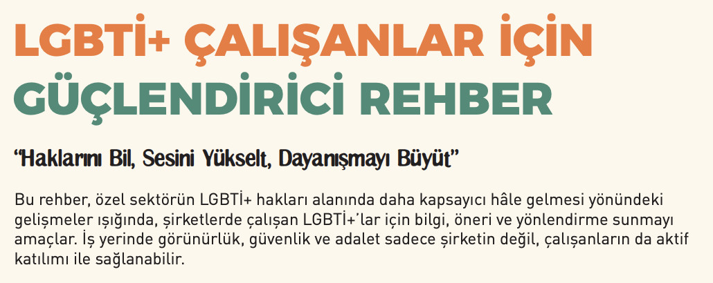 LGBTİ+ Çalışanlar için Güçlendirici Rehber - 17 Mayıs