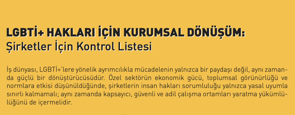 LGBTİ+ Hakları için Kurumsal Dönüşüm: Şirketler için Kontrol Listesi - 17 Mayıs